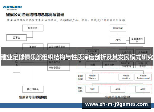 建业足球俱乐部组织结构与性质深度剖析及其发展模式研究