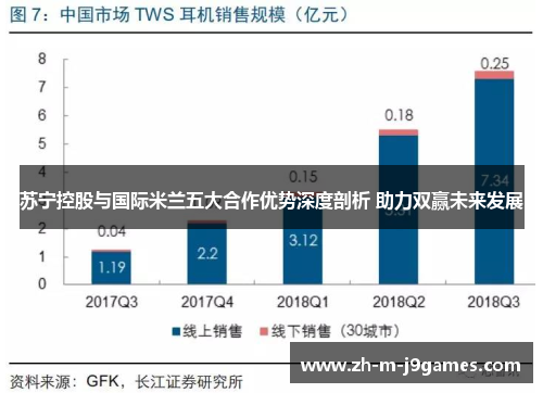 苏宁控股与国际米兰五大合作优势深度剖析 助力双赢未来发展